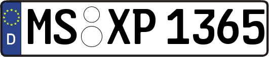 MS-XP1365
