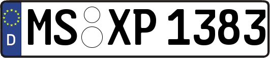 MS-XP1383
