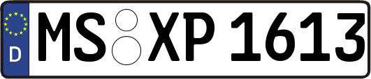 MS-XP1613