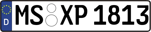 MS-XP1813