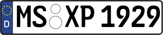 MS-XP1929