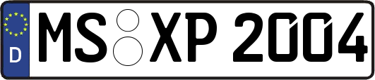 MS-XP2004