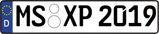 MS-XP2019