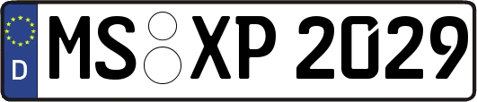 MS-XP2029