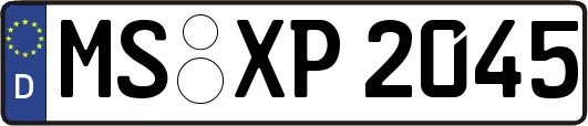 MS-XP2045