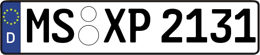 MS-XP2131