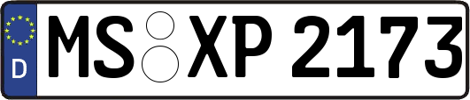 MS-XP2173