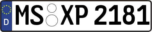 MS-XP2181