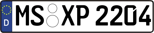 MS-XP2204