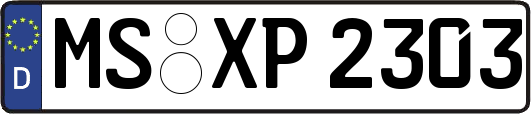 MS-XP2303