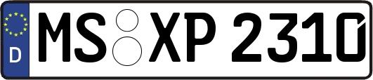 MS-XP2310