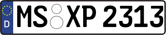 MS-XP2313