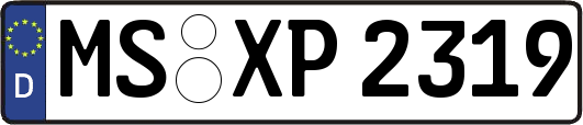 MS-XP2319
