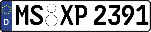 MS-XP2391