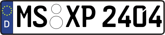 MS-XP2404