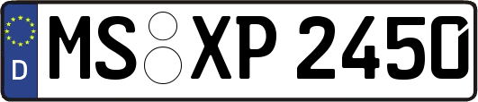 MS-XP2450