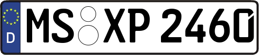 MS-XP2460