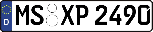 MS-XP2490