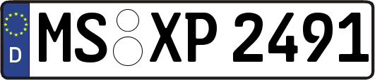 MS-XP2491