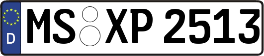 MS-XP2513