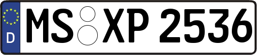 MS-XP2536