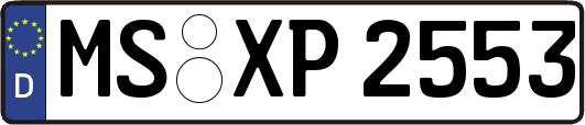 MS-XP2553