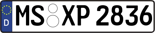MS-XP2836