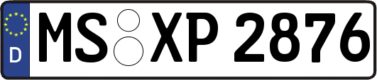 MS-XP2876