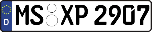 MS-XP2907
