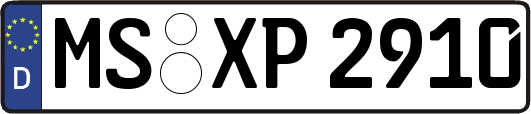 MS-XP2910