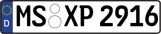 MS-XP2916