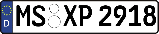 MS-XP2918