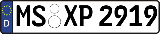 MS-XP2919