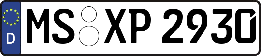 MS-XP2930
