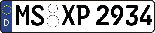 MS-XP2934