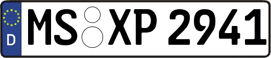 MS-XP2941