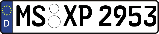 MS-XP2953
