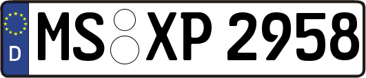MS-XP2958