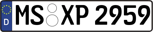 MS-XP2959