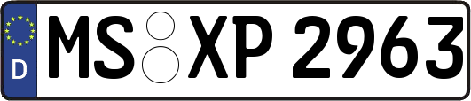 MS-XP2963