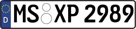 MS-XP2989