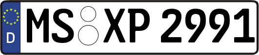 MS-XP2991