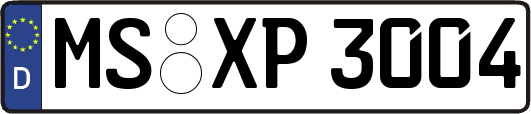 MS-XP3004