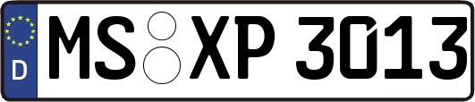 MS-XP3013