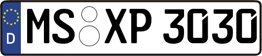 MS-XP3030