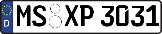MS-XP3031