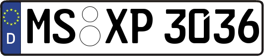 MS-XP3036