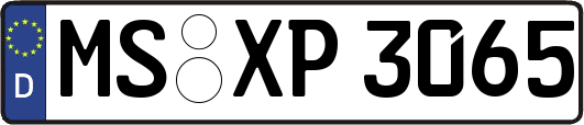 MS-XP3065
