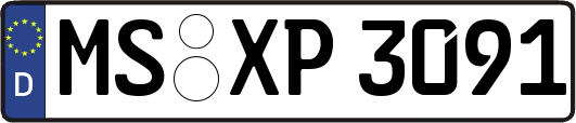 MS-XP3091