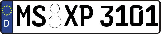 MS-XP3101
